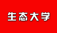 互联网是围观经济